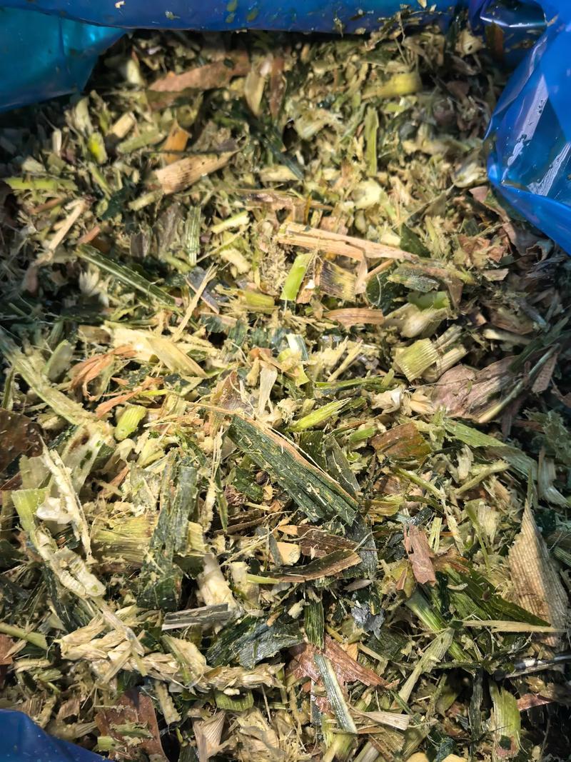 奶牛养殖的几个误区
