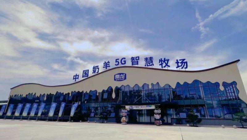 智慧牧场：破解养殖难题的利器